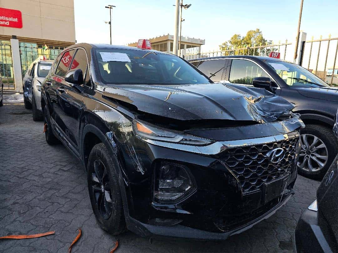 HYUNDAI SANTA FE 2019 thumbnail 1