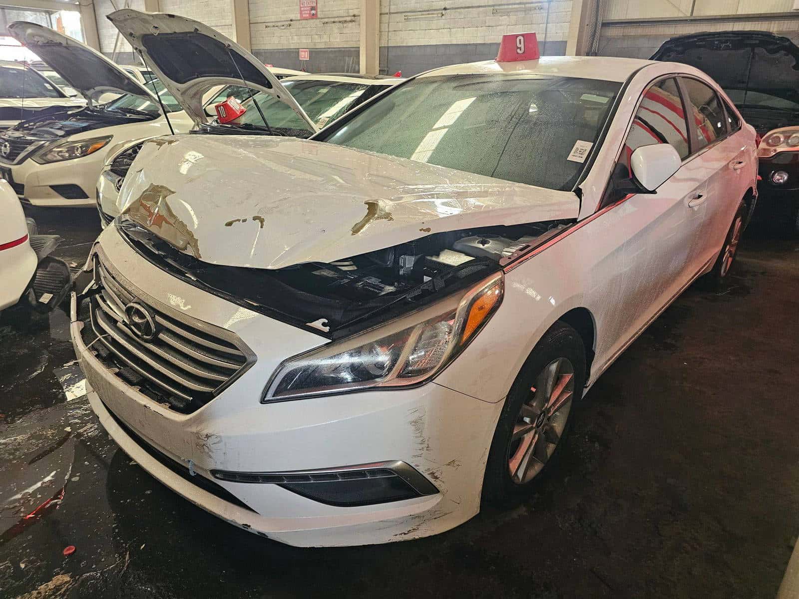 HYUNDAI SONATA - Exterior
