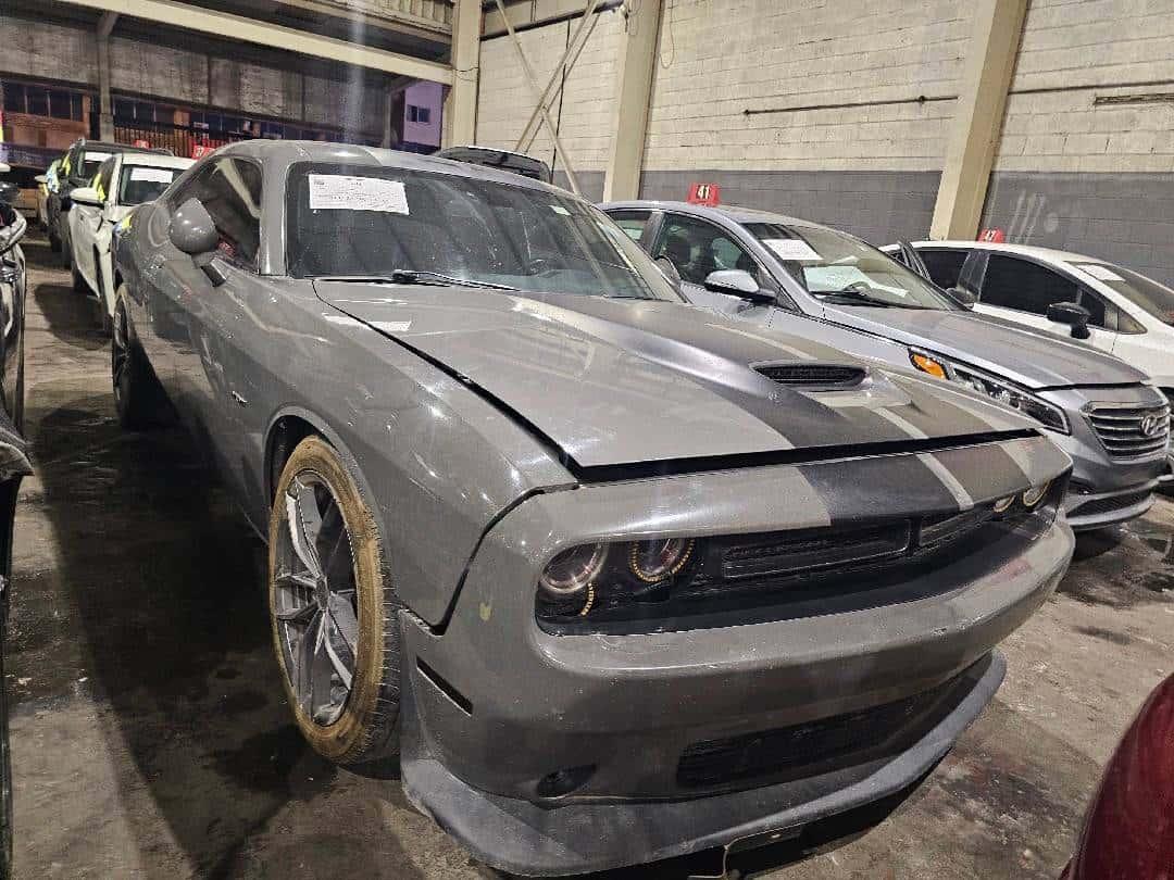 DODGE CHALLENGER 2019 thumbnail 1