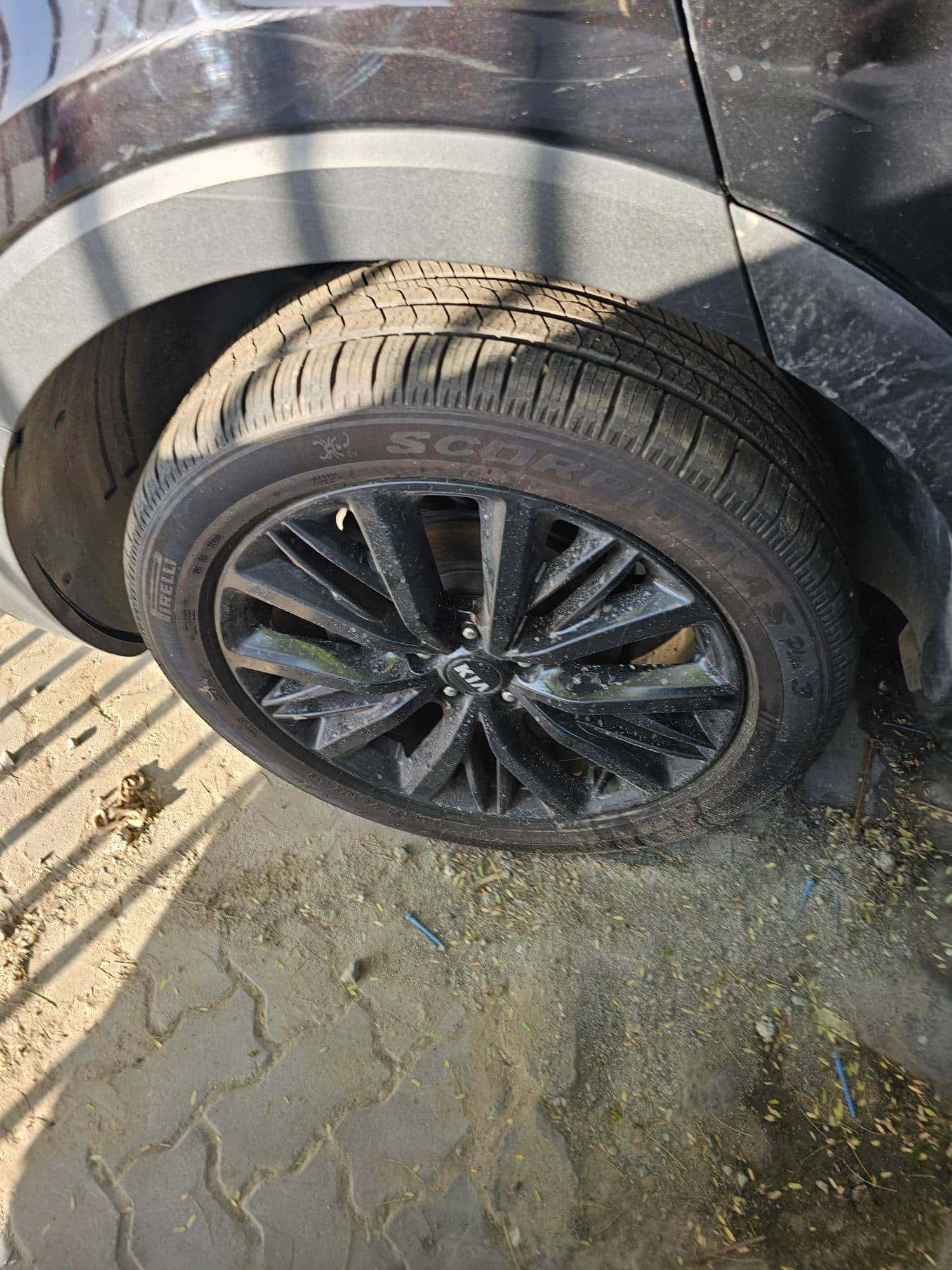 KIA TELLURIDE 2021 thumbnail 4