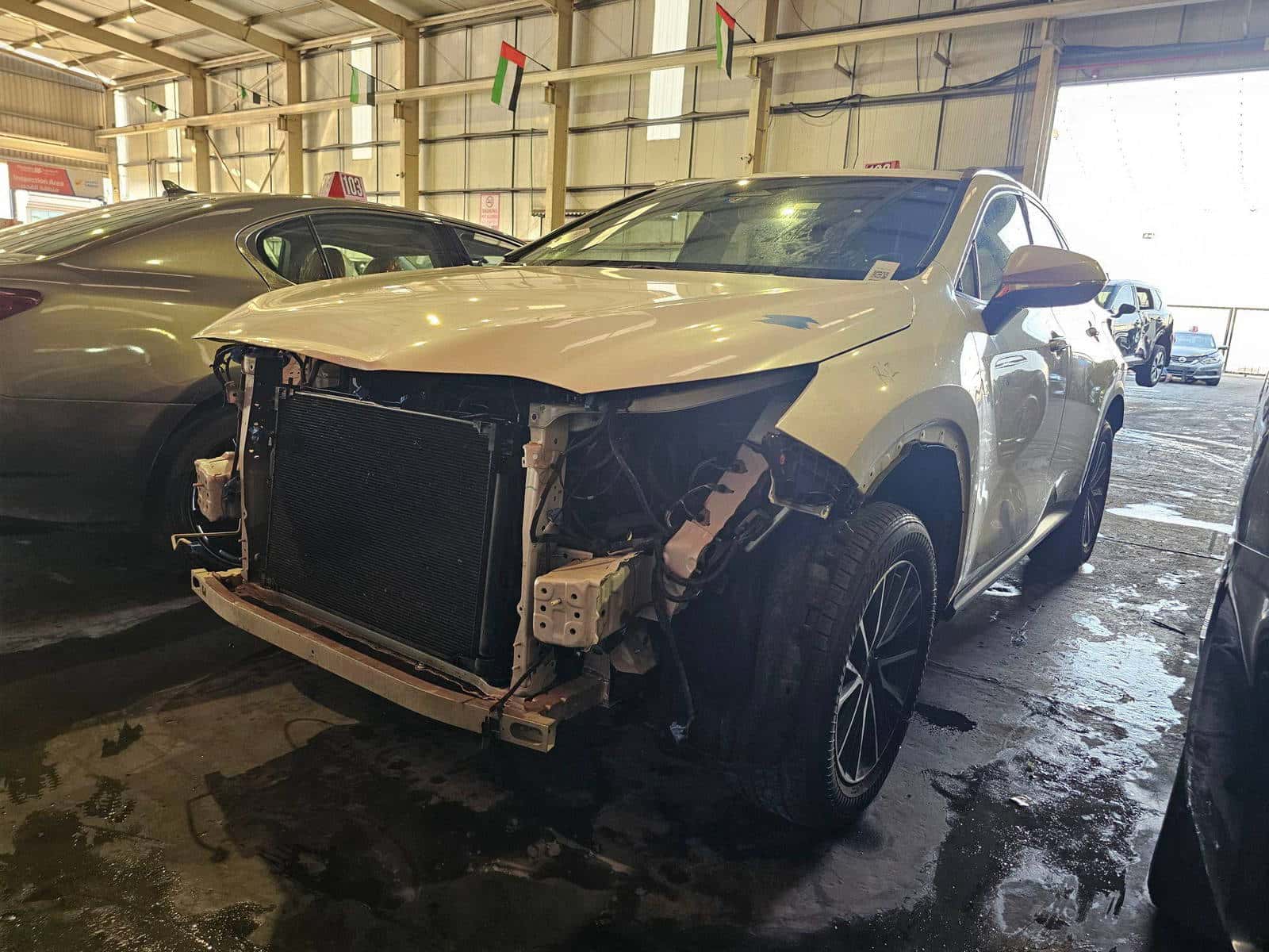 LEXUS NX 250 2022 thumbnail 4