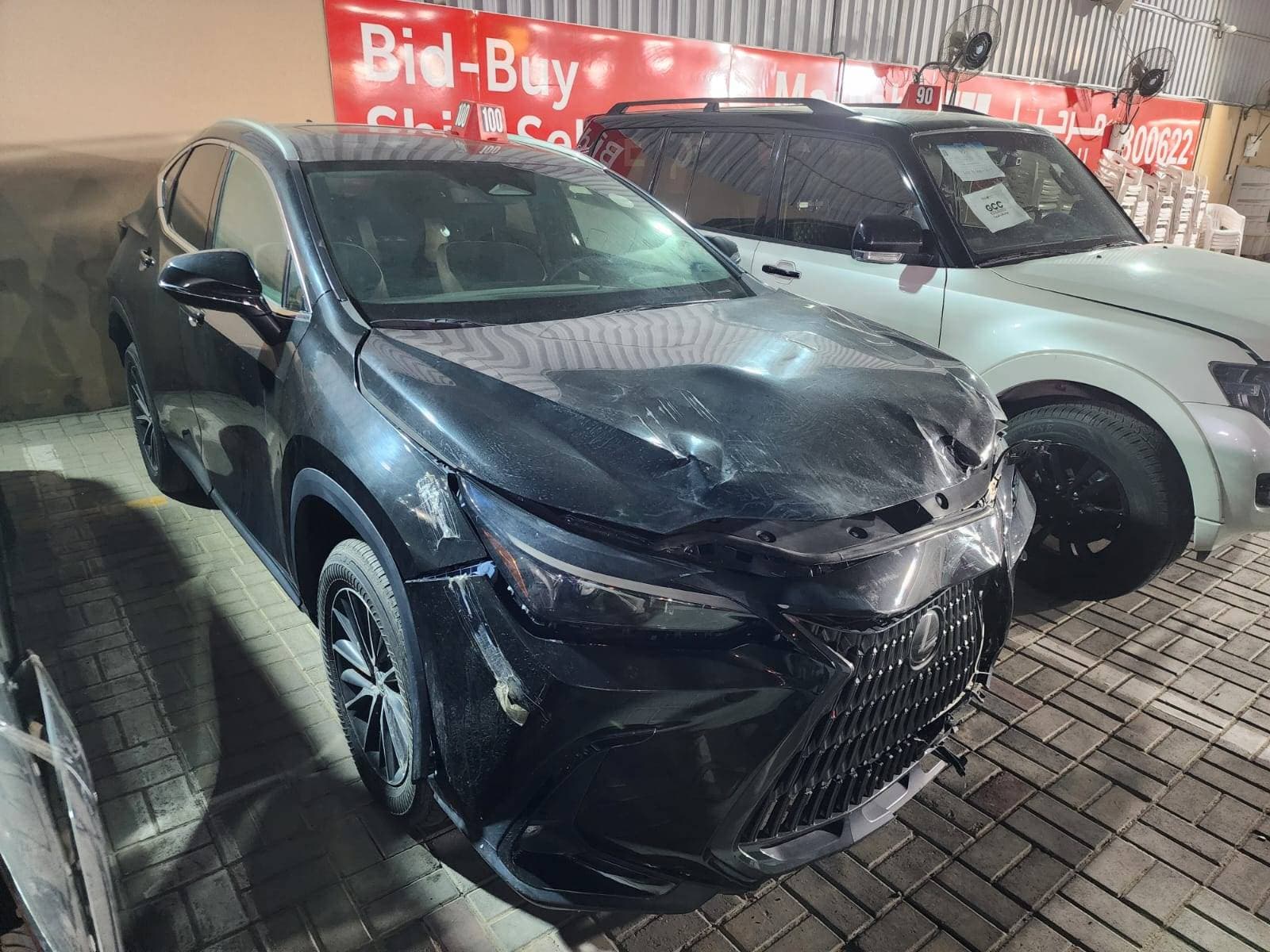 LEXUS NX 250 2024 vehicle photo