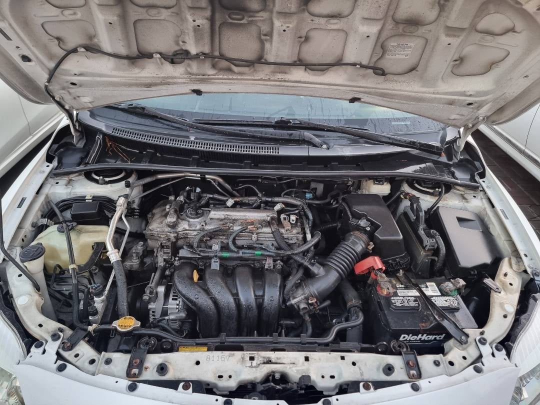 TOYOTA COROLLA - Exterior