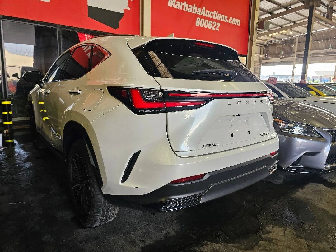 LEXUS NX 250 2022 view 1