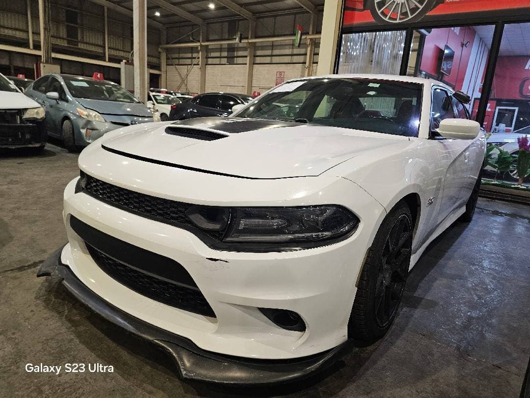 DODGE CHARGER 2019 view 9 DODGE CHARGER 2019 view 9