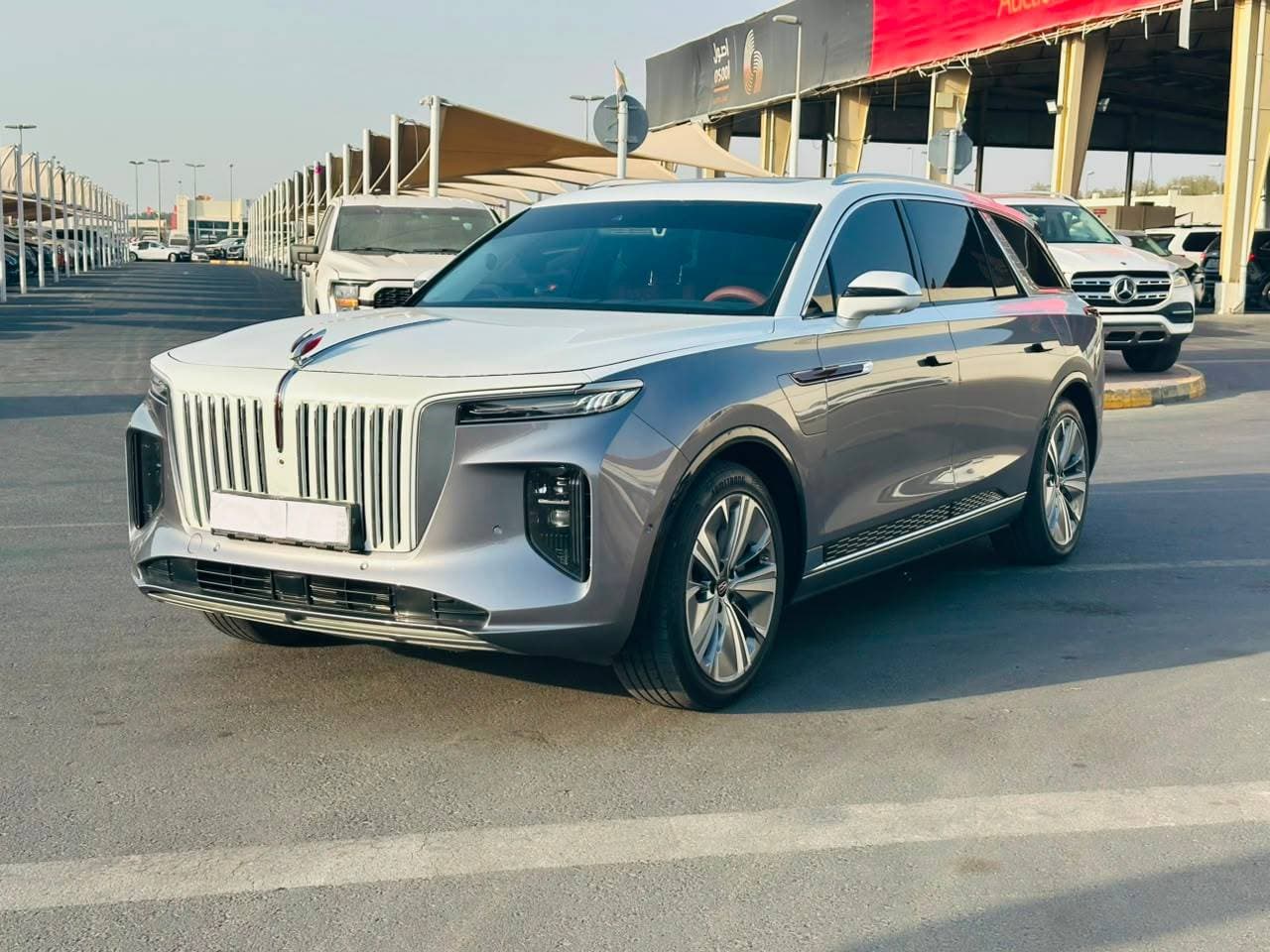 Hongqi EHS9 2023 view 5 Hongqi EHS9 2023 view 5