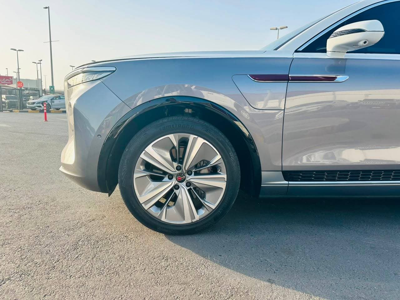Hongqi EHS9 2023 view 14 Hongqi EHS9 2023 view 14