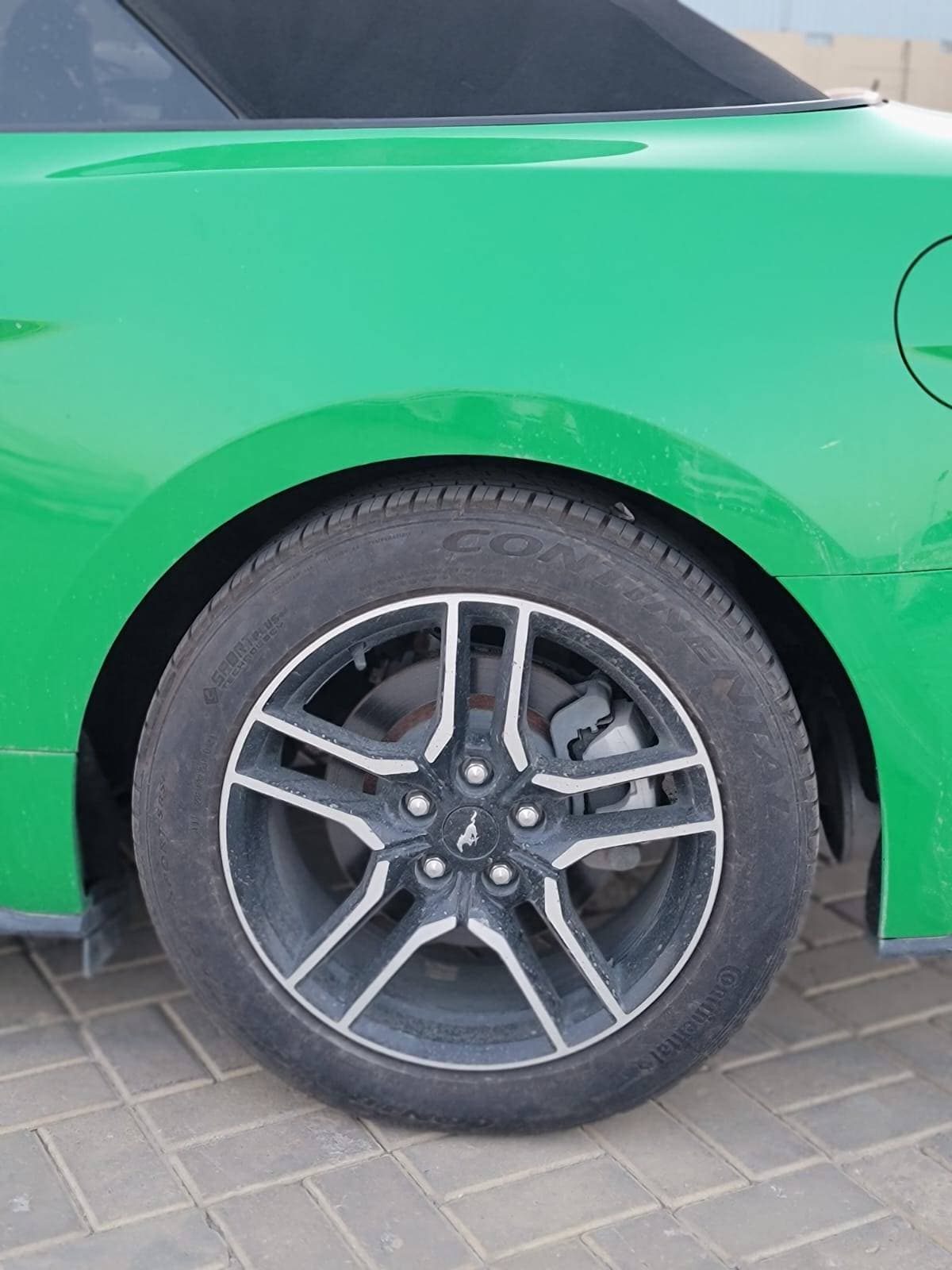 FORD MUSTANG 2019 view 7 FORD MUSTANG 2019 view 7