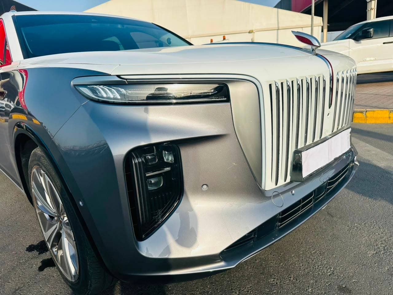 Hongqi EHS9 2023 view 15 Hongqi EHS9 2023 view 15
