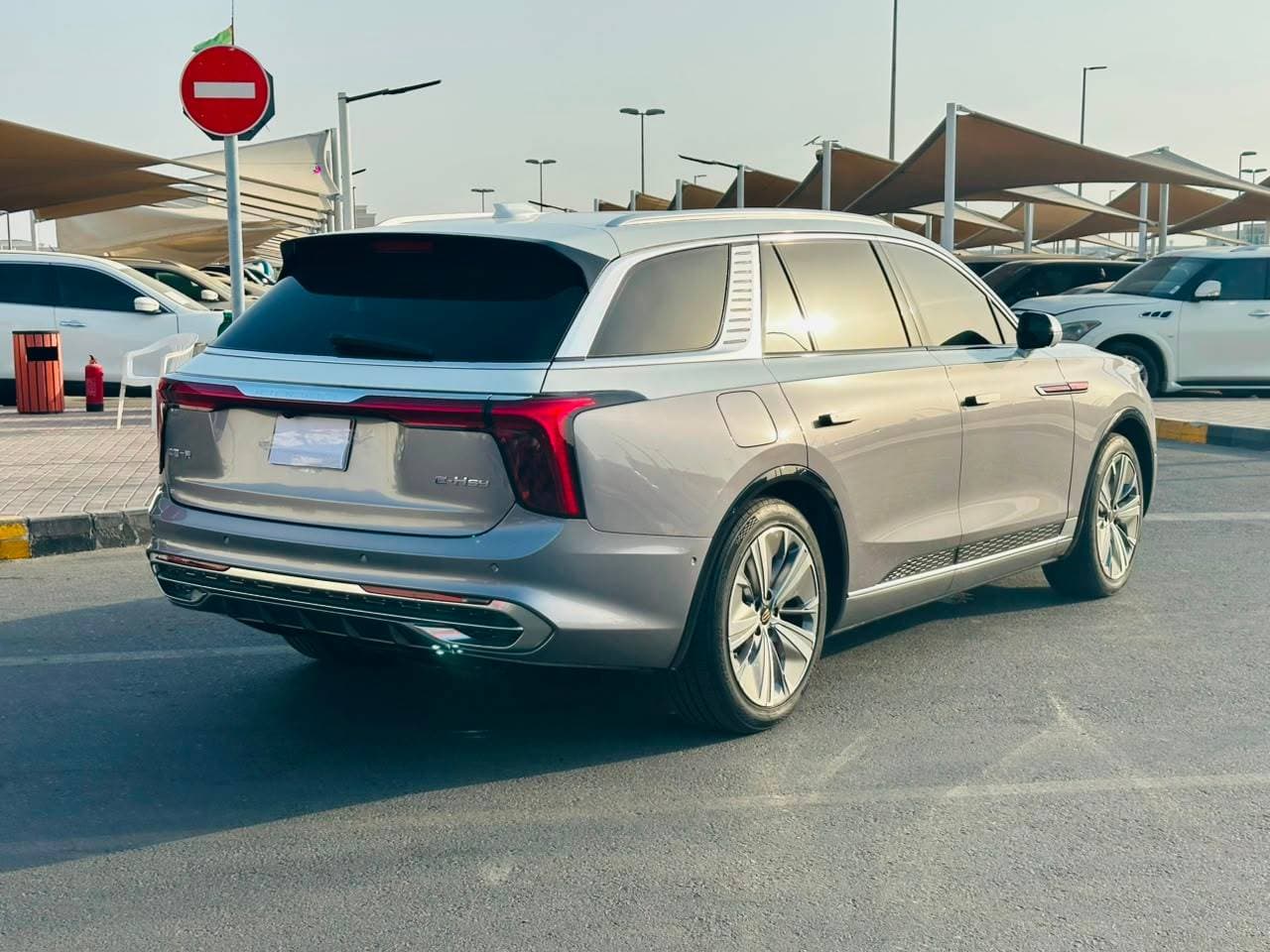 Hongqi EHS9 2023 view 7 Hongqi EHS9 2023 view 7