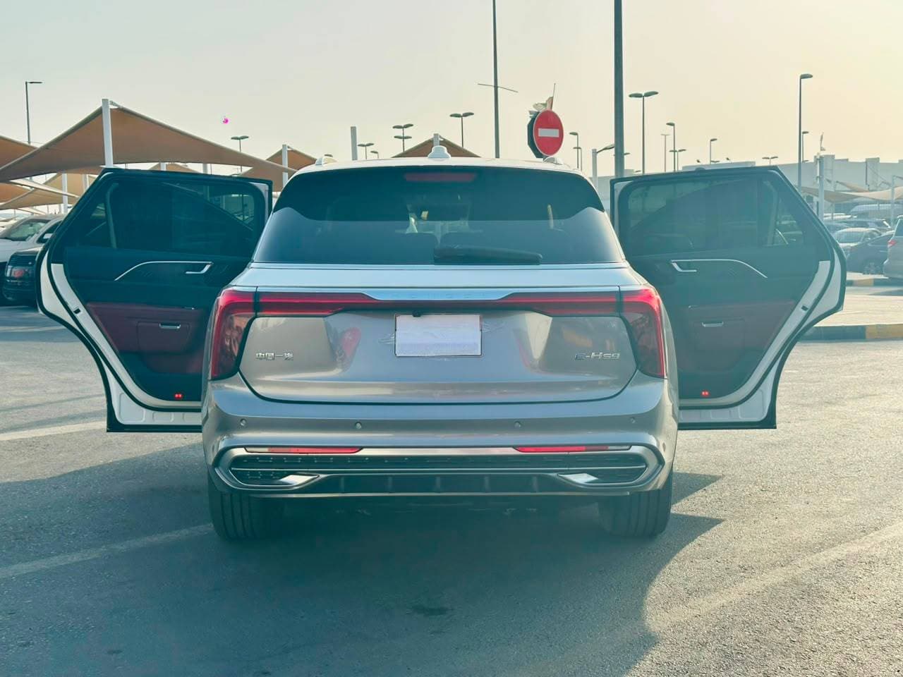 Hongqi EHS9 2023 view 3 Hongqi EHS9 2023 view 3