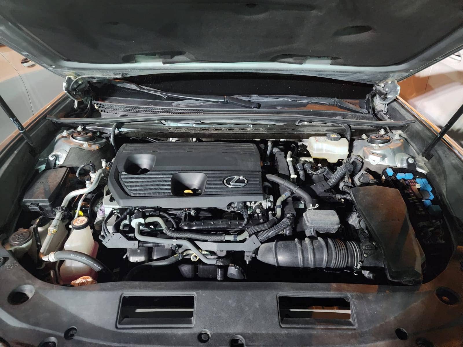 LEXUS ES 300H - Exterior LEXUS ES 300H - Exterior
