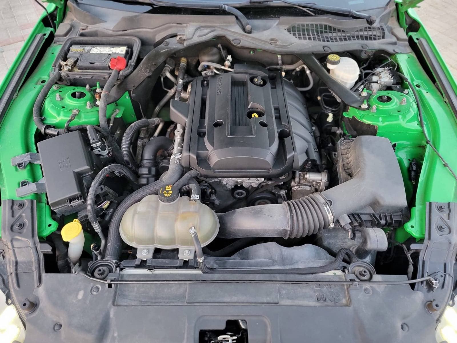 FORD MUSTANG 2019 view 9 FORD MUSTANG 2019 view 9