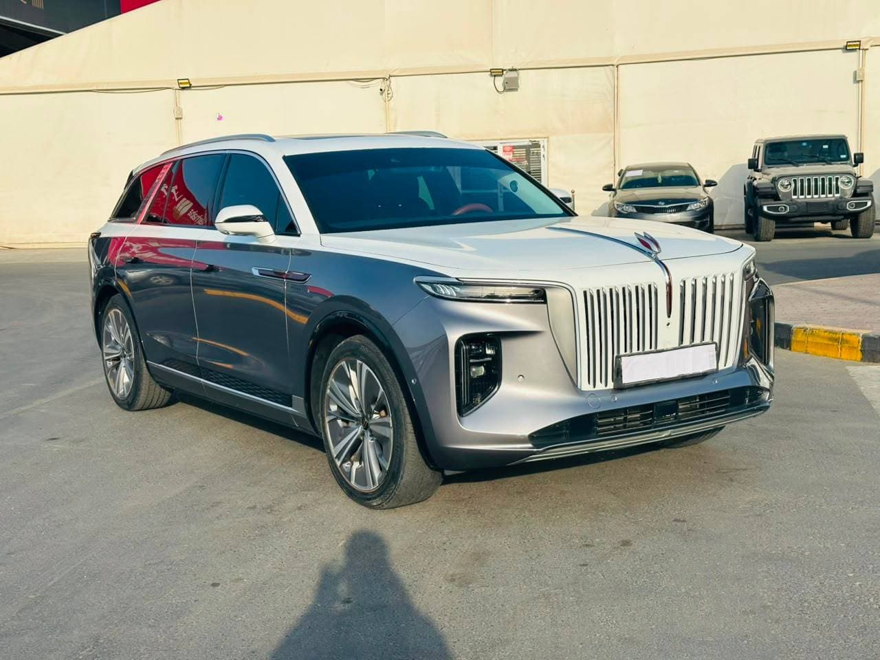 Hongqi EHS9 2023 view 4 Hongqi EHS9 2023 view 4
